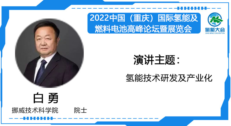 白勇（嘉宾）  挪威技术科学院        院  士